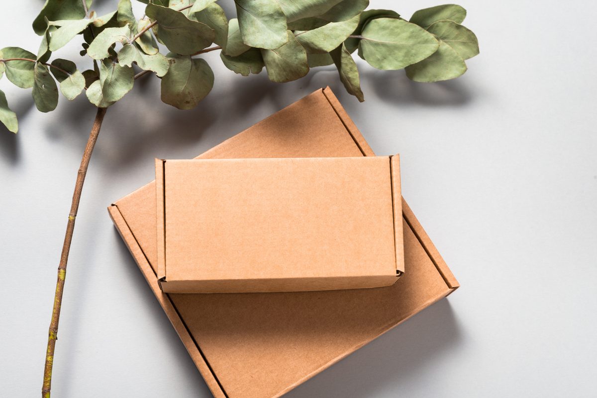 Kraft corrugated mailer boxes
