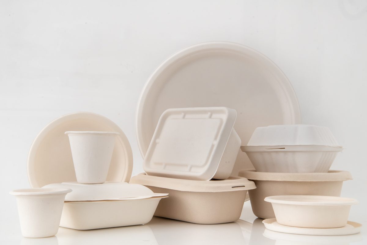 Bagasse bowls, plates and clamshell boxes