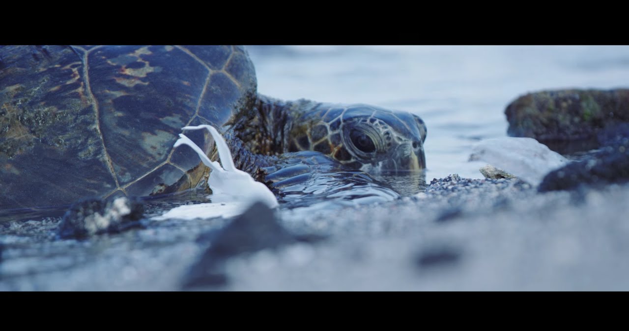 Plastic Pollution, Our Oceans, Our Future — video